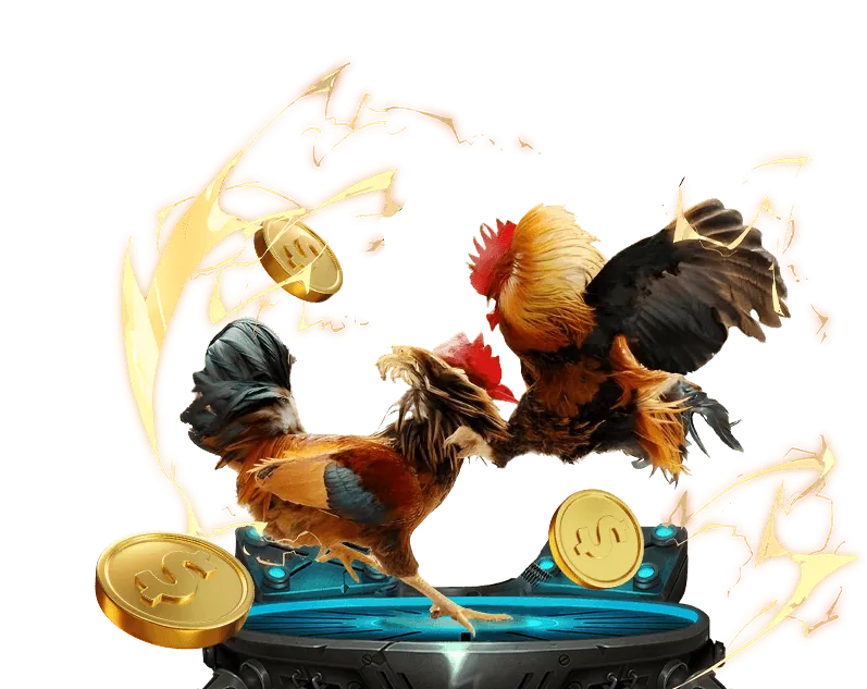 Hỗ trợ khách hàng Fly88